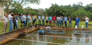 Curso de produção de Lambari acontece neste mês