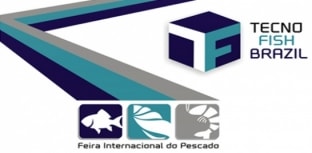 Curitiba recebe feira sobre a cadeia de peixe