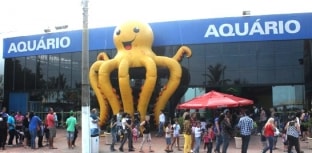 Campanha Aquário Solidário ocorre em Guarujá