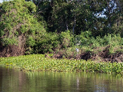 Operações de pesca investem também em ecoturismo