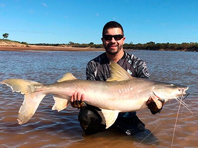 Pescador que viralizou ao resgatar garça no MS conta detalhes por