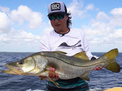 Tarpon, robalo, corvina e papa-terra: confira estratégias para fisgar os troféus da água salgada