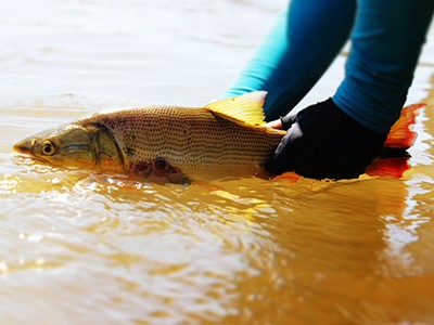 Workshop de Pesca Amadora e Esportiva acontece em Brasília