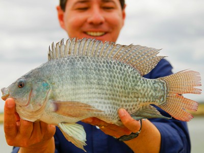 Semana do Pescado revela que brasileiro está comendo mais peixe
