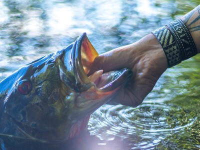 Barcelos retoma turismo de pesca esportiva