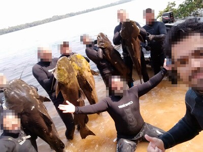 Denúncia: peixes nativos são mortos por mergulhadores
