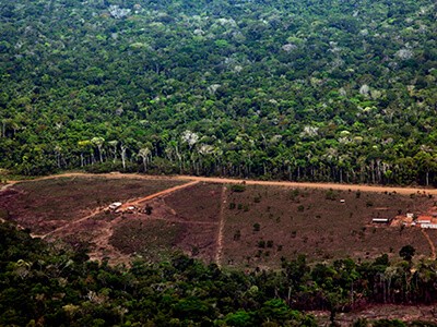 Foto: Divulgação/Greenpeace/Marizilda Cruppe/EVE