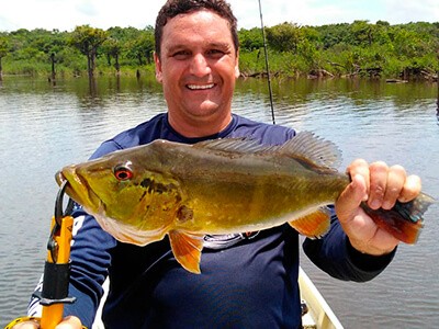 Recorde mundial na pesca de Fly: Tucunaré de 91 centímetros é o maior da  categoria All-Tackle