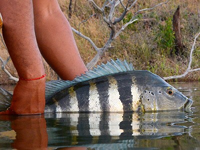 Turismo de pesca está reabrindo