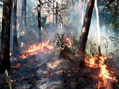 Pantanal segue em chamas