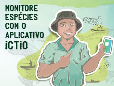 Aplicativo Ictio: saiba como mapear peixes amazônicos