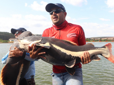 Pesca robalo farol de santa marta laguma