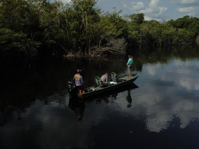 A Amazônia tem respostas que a gente não encontra na rotina. Foto: Wed Taylor.