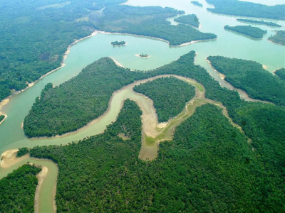 Mais de 130 espécies de peixes correm risco de extinção no Piauí, de acordo com ONG