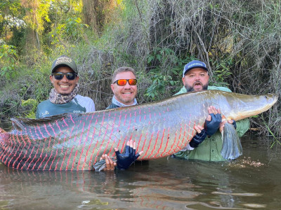 Biodiversidade de peixes no Brasil: um mergulho no potencial sustentável do país