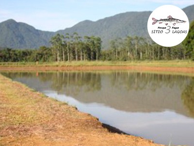 Campeonato Brasileiro em Pesqueiros, Santa Catarina