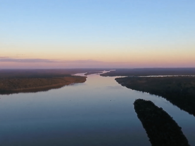 Dia da Amazônia: momento para conscientizar sobre a preservação da maior floresta tropical do planeta