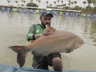 CBP5: mais de 6 toneladas de peixe em dois dias de um regional paulista marcante