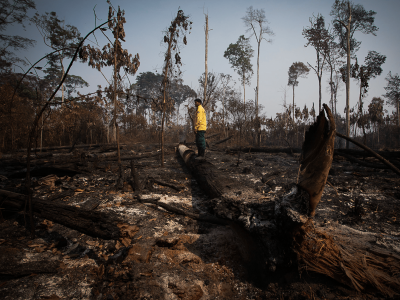 Queimadas e desmatamento: as ações prometidas para a Amazônia em 2025 para frear desastres