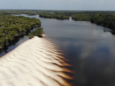 Tucunaré-açu, turismo e ciência: pesquisa investiga os efeitos da pesca esportiva em Barcelos (AM)