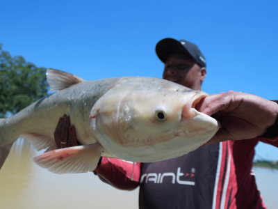 Toneladas no DF e prova desafiadora no RS: as últimas etapas de 2025 da Liga CBP Open. Foto: Fish TV (Liga CBP Open).