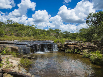 Dia do Cerrado: o desequilíbrio hídrico que seu desmatamento pode causar