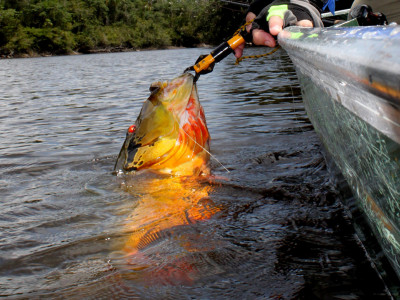 Curso gratuito de guia de Pesca Esportiva é oferecido a piloteiros no Amazonas