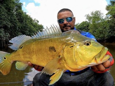 Ícone da pesca esportiva, Nelson Nakamura retorna ao Pantanal e