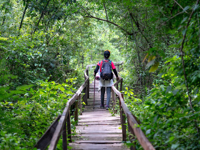 Turismo de natureza: por que ele faz parte dos setores que mais crescem no país?