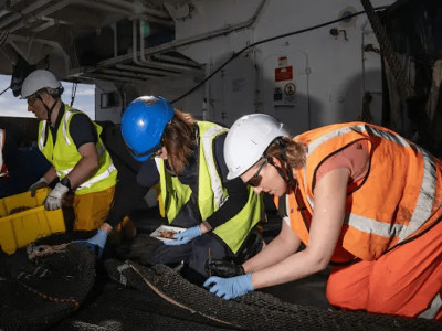 Descoberta no fundo do mar? Cientistas encontram potenciais novas espécies