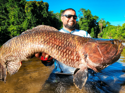 Principais famílias capturadas nos torneios de pesca nas praias do Olho