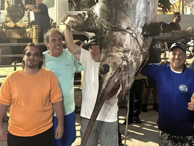 Gigante de 328kg: peixe meca é capturado em Guarapari, mas não sobrevive