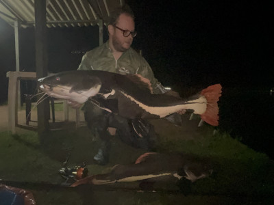 Lord Vinheteiro e a Pirarara de 50kg no Clube Pescar: conheça essa história!