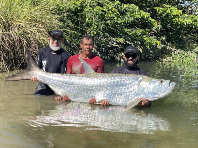Como funciona a homologação de um recorde de pesca esportiva no Brasil?