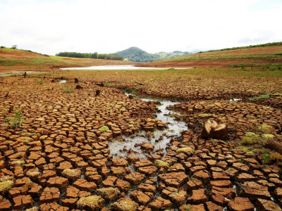 Dia Mundial do Meio Ambiente: a urgência da proteção ambiental em pauta