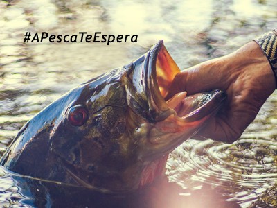 A pesca te espera