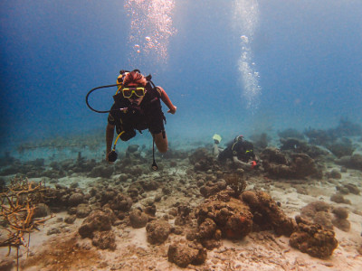 Pesca, destinos e uma mala pronta para Curaçao. Foto: Fish TV.