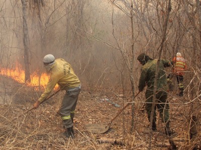 Dia do Pantanal: como os incêndios afetam a água e a quantidade de peixes na região