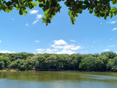 Fevereiro inicia com grande campeonato de pesca esportiva em Maringá-PR