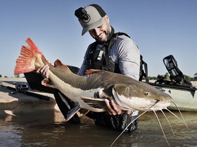 PANGA: Descubra um segredo escondido deste peixe! 