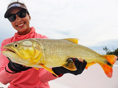 Rosario: uma cidade argentina cheia de turismo e pesca esportiva