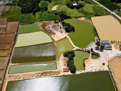 Estreia em Santa Catarina: Sítio Três Lagoas recebe etapa decisiva da Liga CBP Open. Foto: Pesqueiro Sítio Três Lagoas.