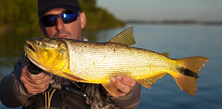 Pesca e Aventura: 3 Dicas do Gaba que você precisa ler antes da sua próxima expedição