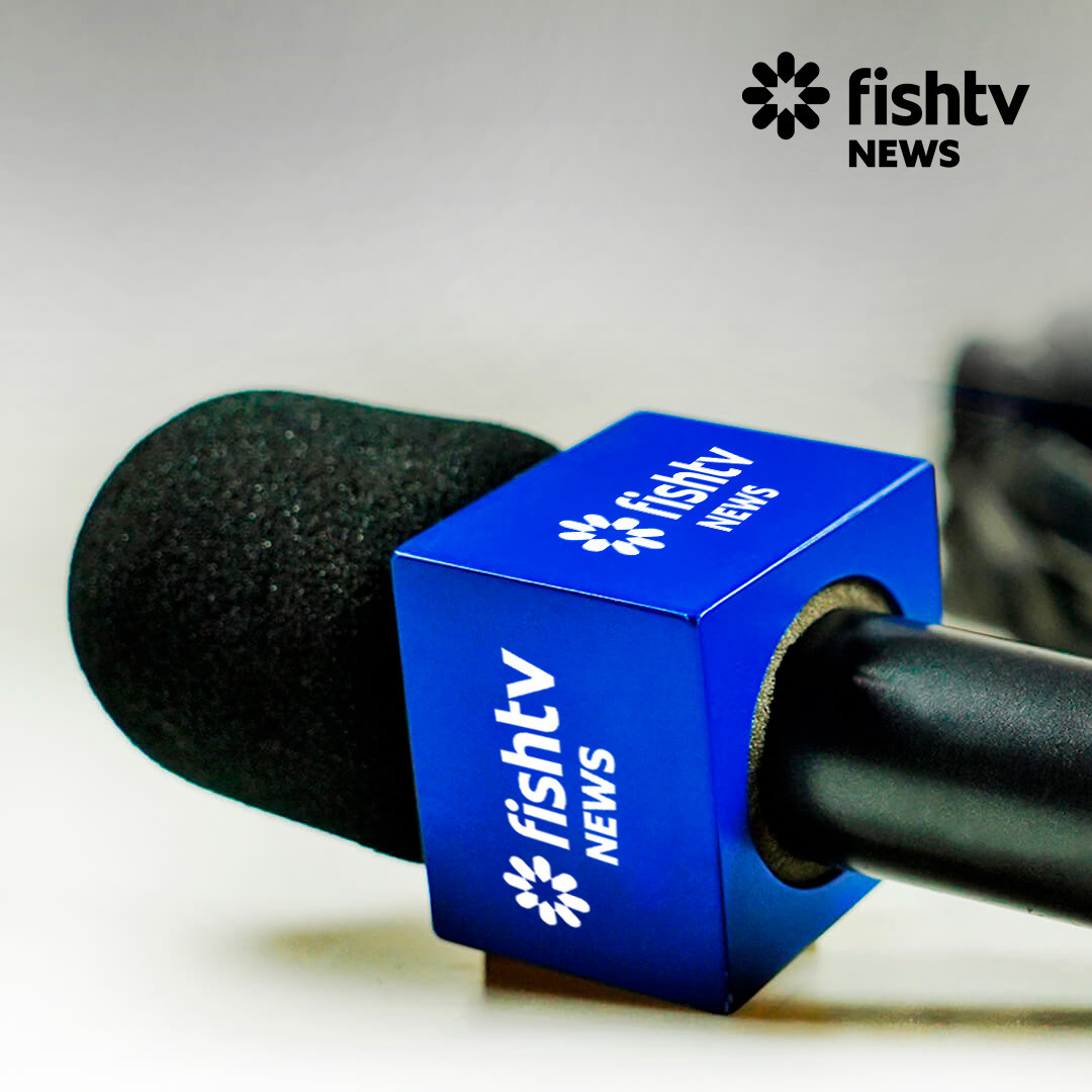 Fish TV News